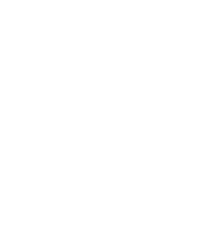 Healthy Hooch Kombucha